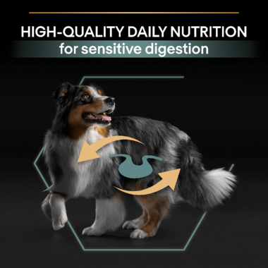 High quality daily nutrition for sensitive digestion