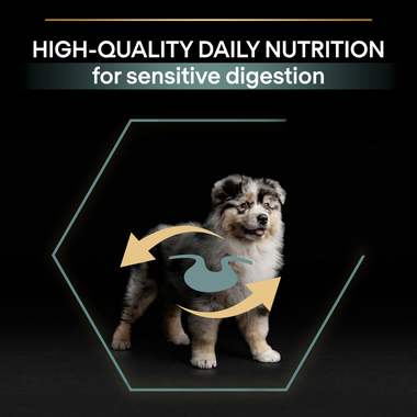 High-quality daily nutrition for sensitive digestion