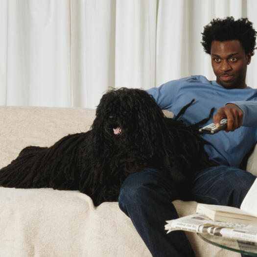 Man is watching a television with his pet - Adult Hungarian Puli