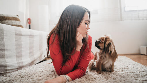 Woman and a pekingese sitting on the floor