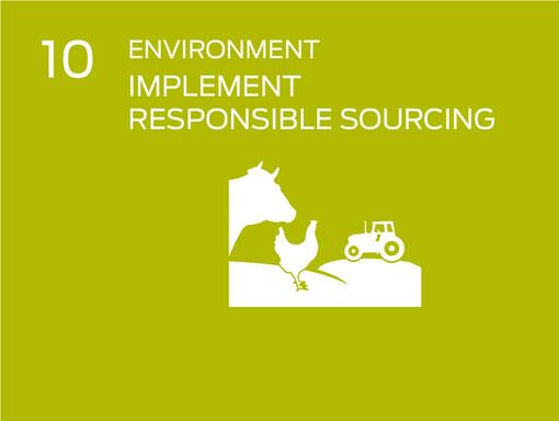 Infographic responsible sourcing