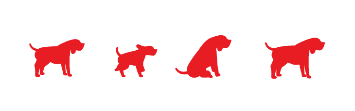 Dog Breed Questions - Dog Breed Selector Tool | Purina Dog Breed Questions - Dog Breed Selector Tool | Purina