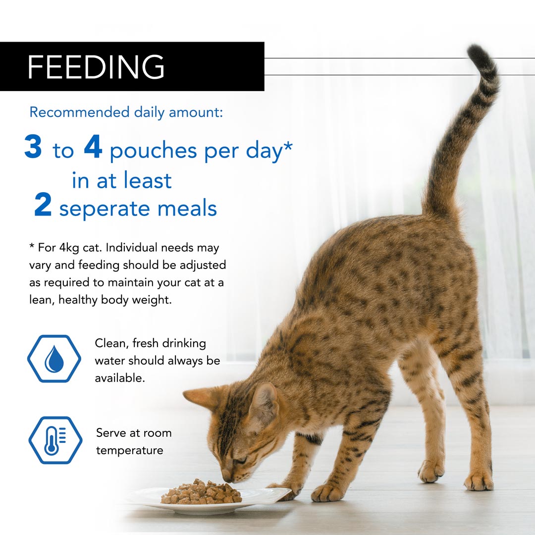 pro plan sterilised cat