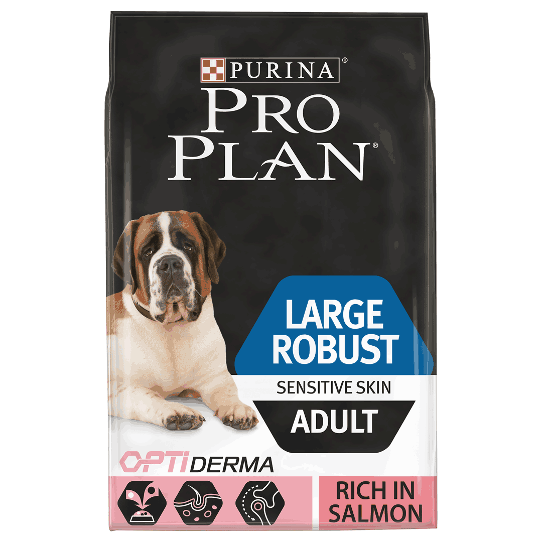 What Is The Safest Dry Dog Food