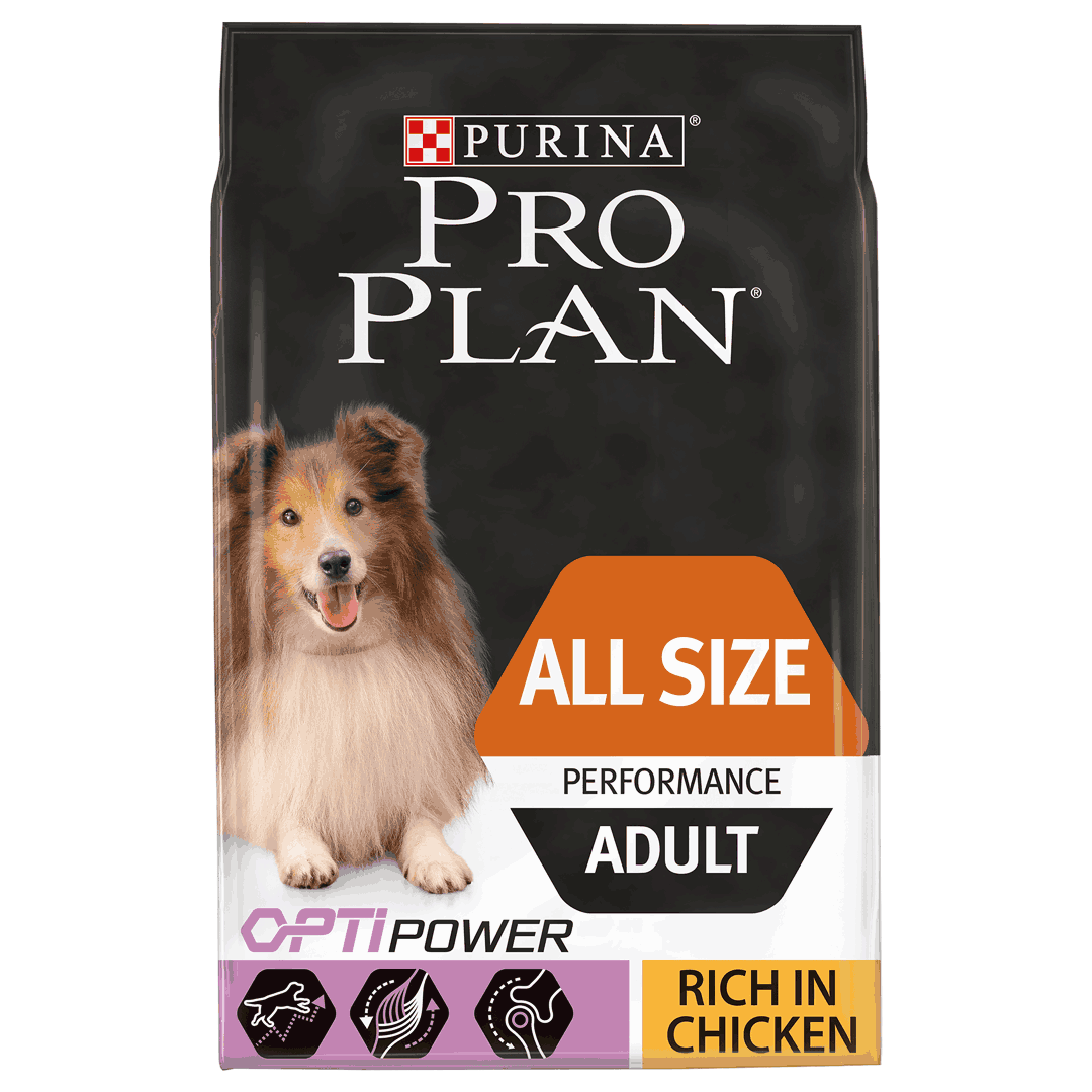pro plan performance