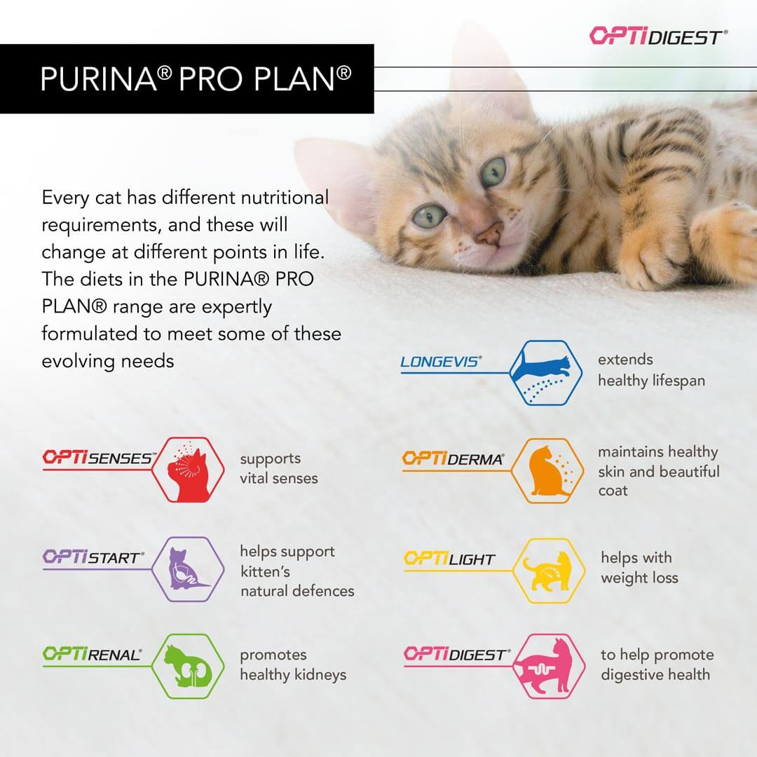 pro plan cat delicate