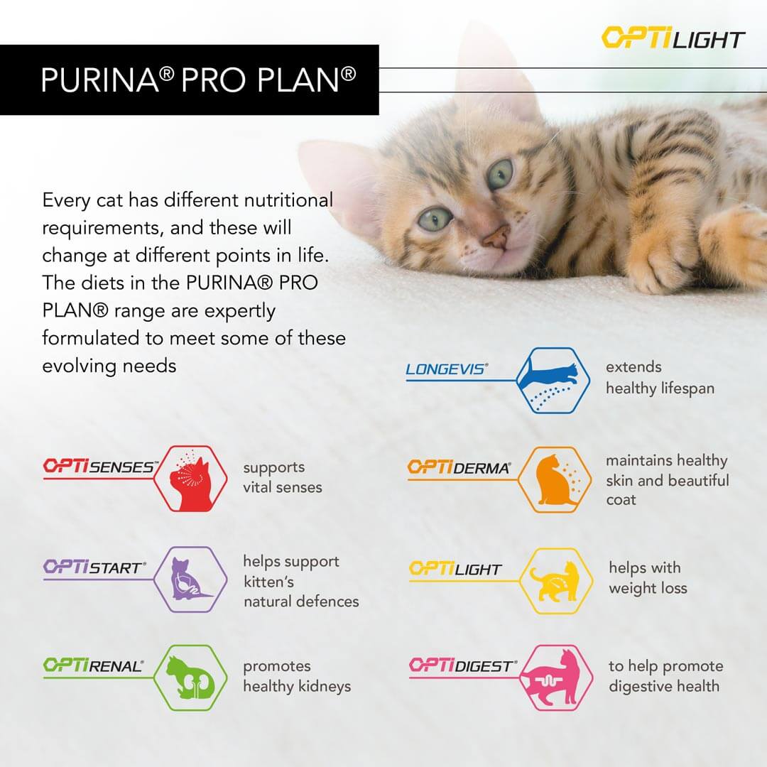 pro plan light cat
