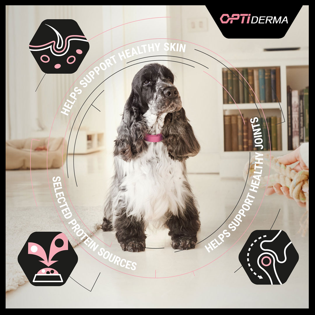 purina pro plan optiderma medium
