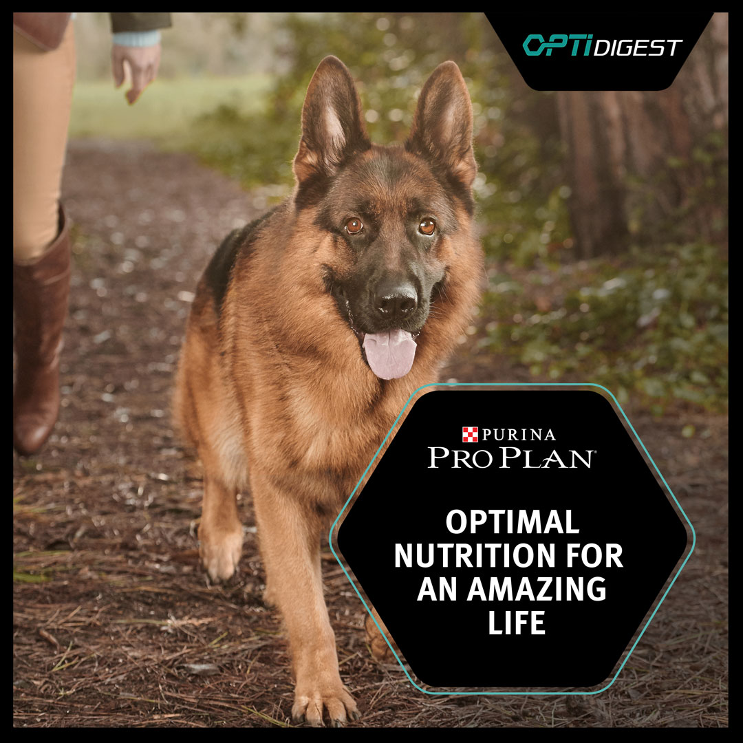 purina athletic
