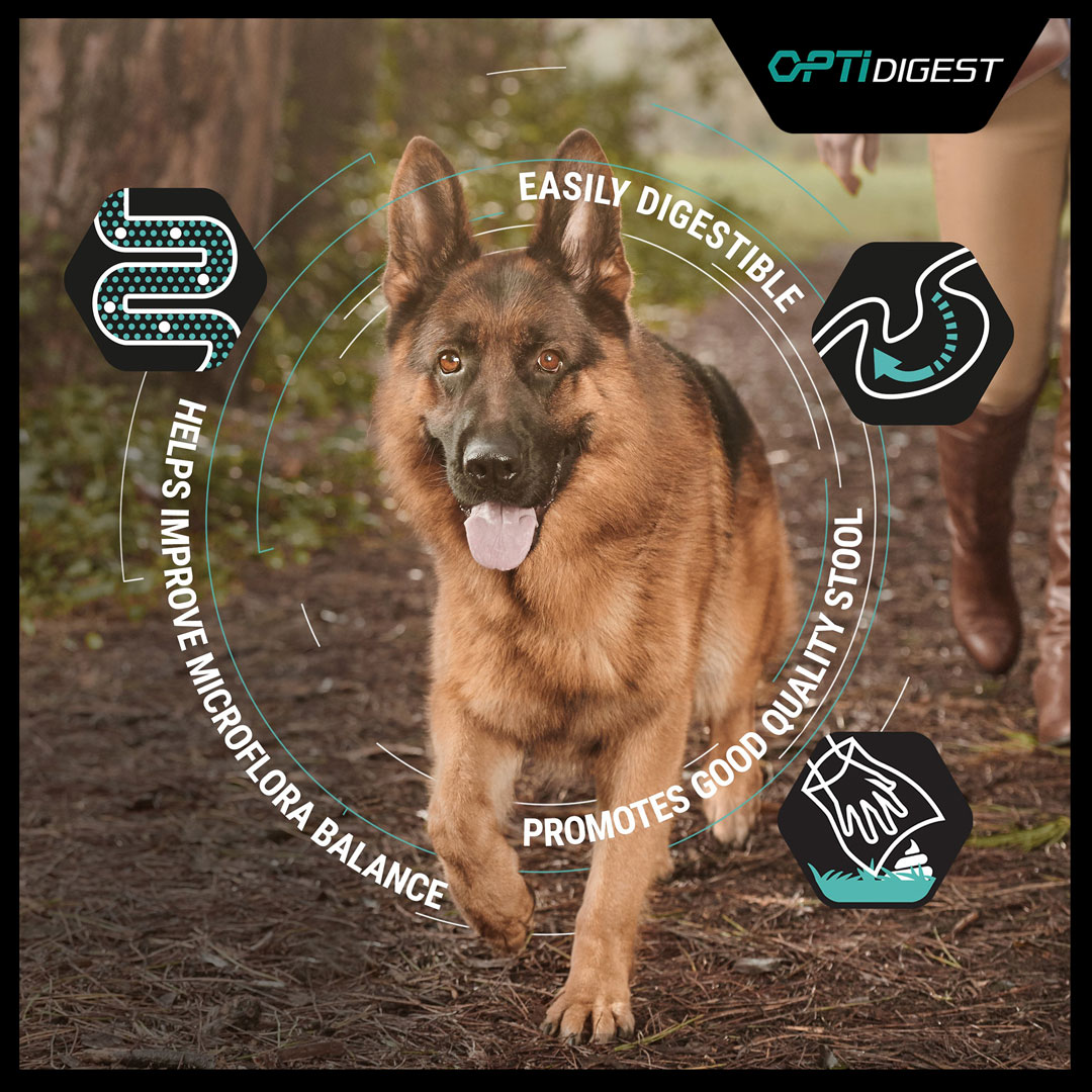 pro plan sensitive digestion