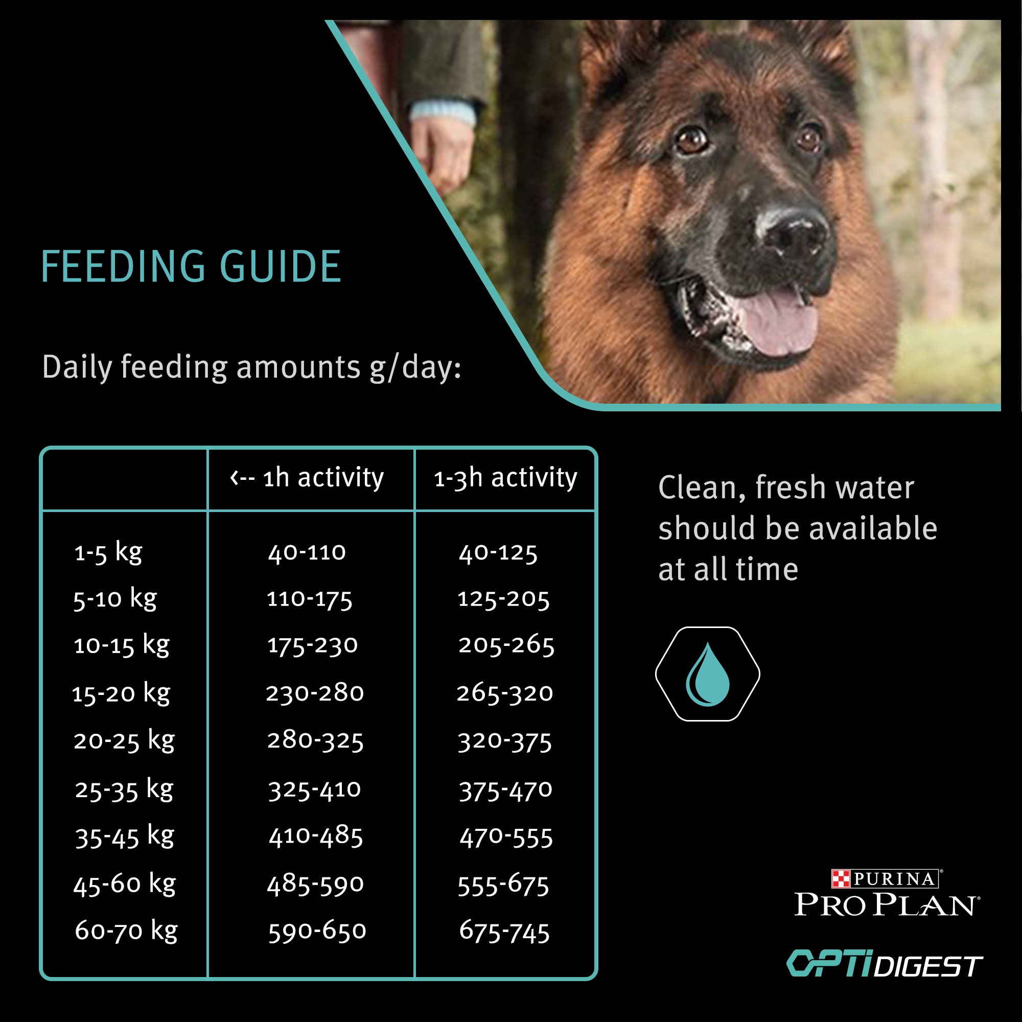 purina athletic