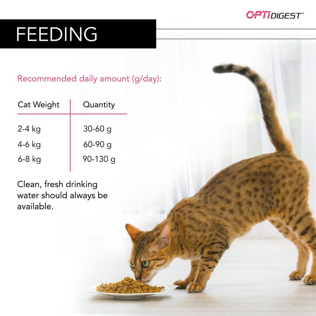 pro plan cat sterilized