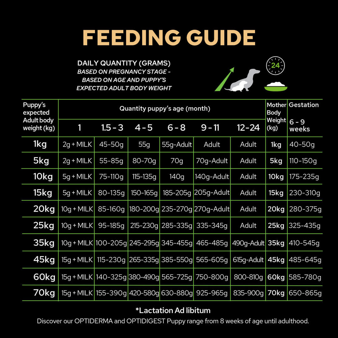Feeding Chart For Puppies Ubicaciondepersonas cdmx gob mx
