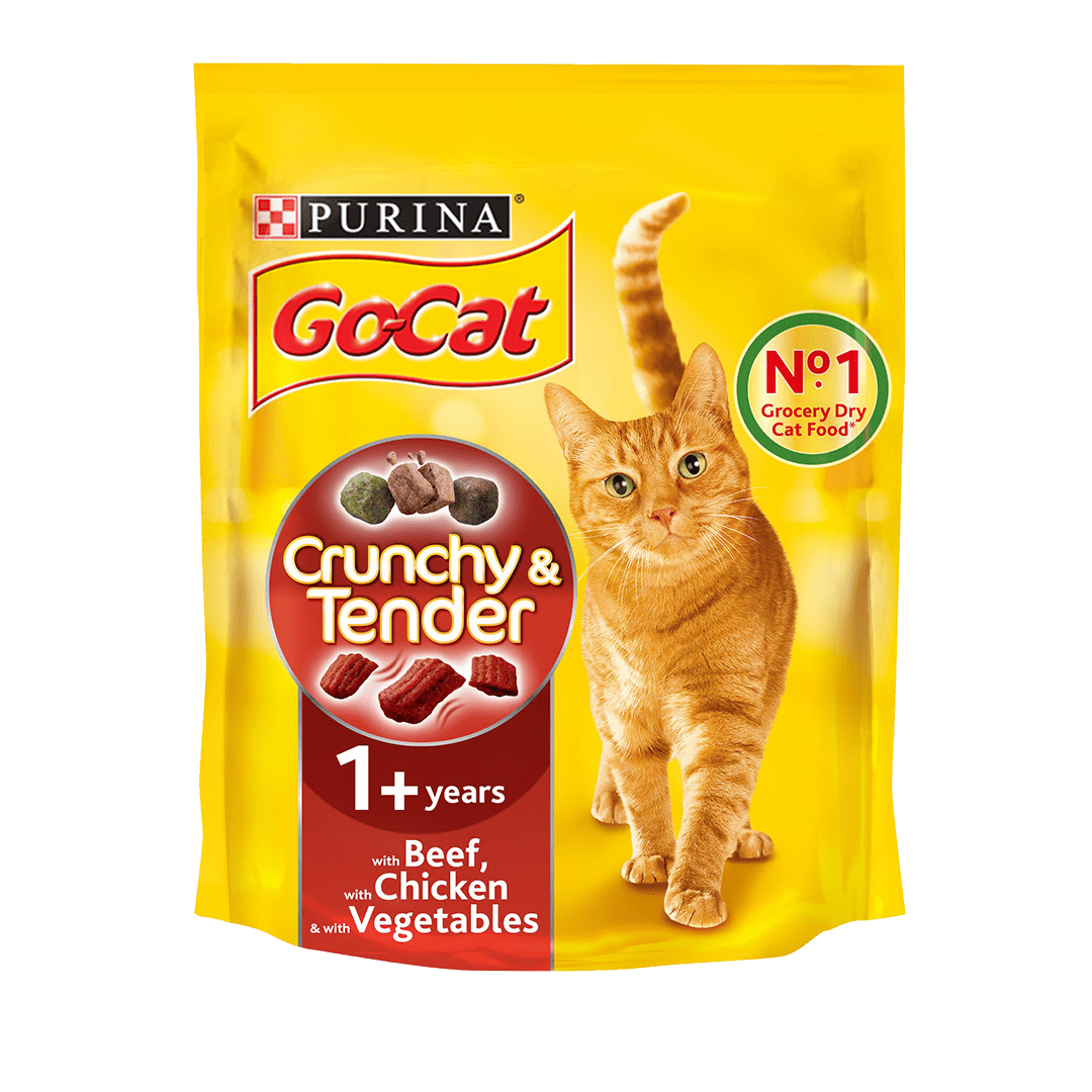 t cat food