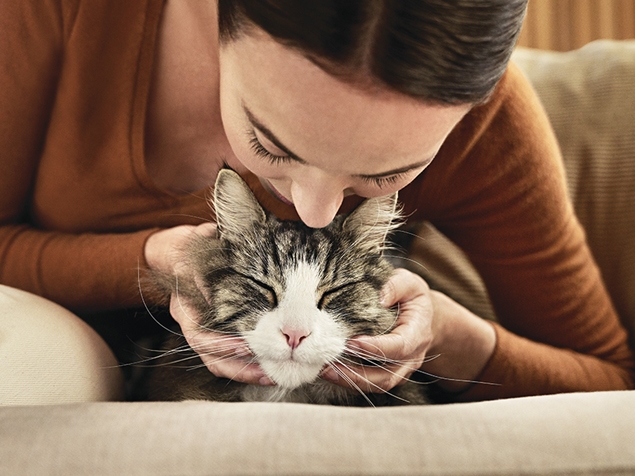 Cat and owner hypoallergic