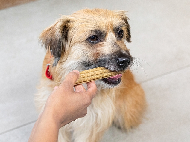Dog products