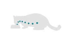 Cat eating icon