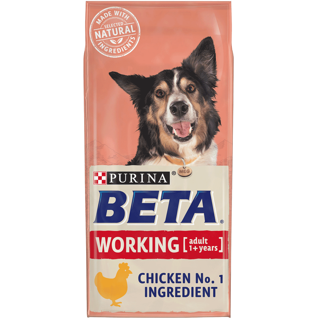 BETA® Working Chicken Dry Dog Food Purina