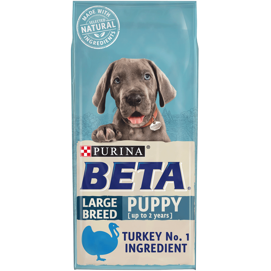 Large Breed Dog Ubicaciondepersonas cdmx gob mx Large Breed Dog Ubicaciondepersonas cdmx gob mx