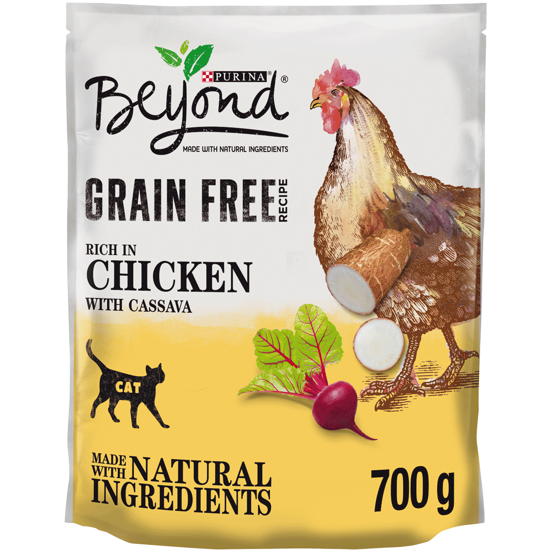 BEYOND® Grain Free Chicken With Cassava Dry Cat Food Purina