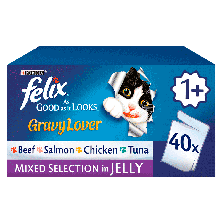 FELIX® Gravy Lover Mixed Selection Wet Cat Food Purina