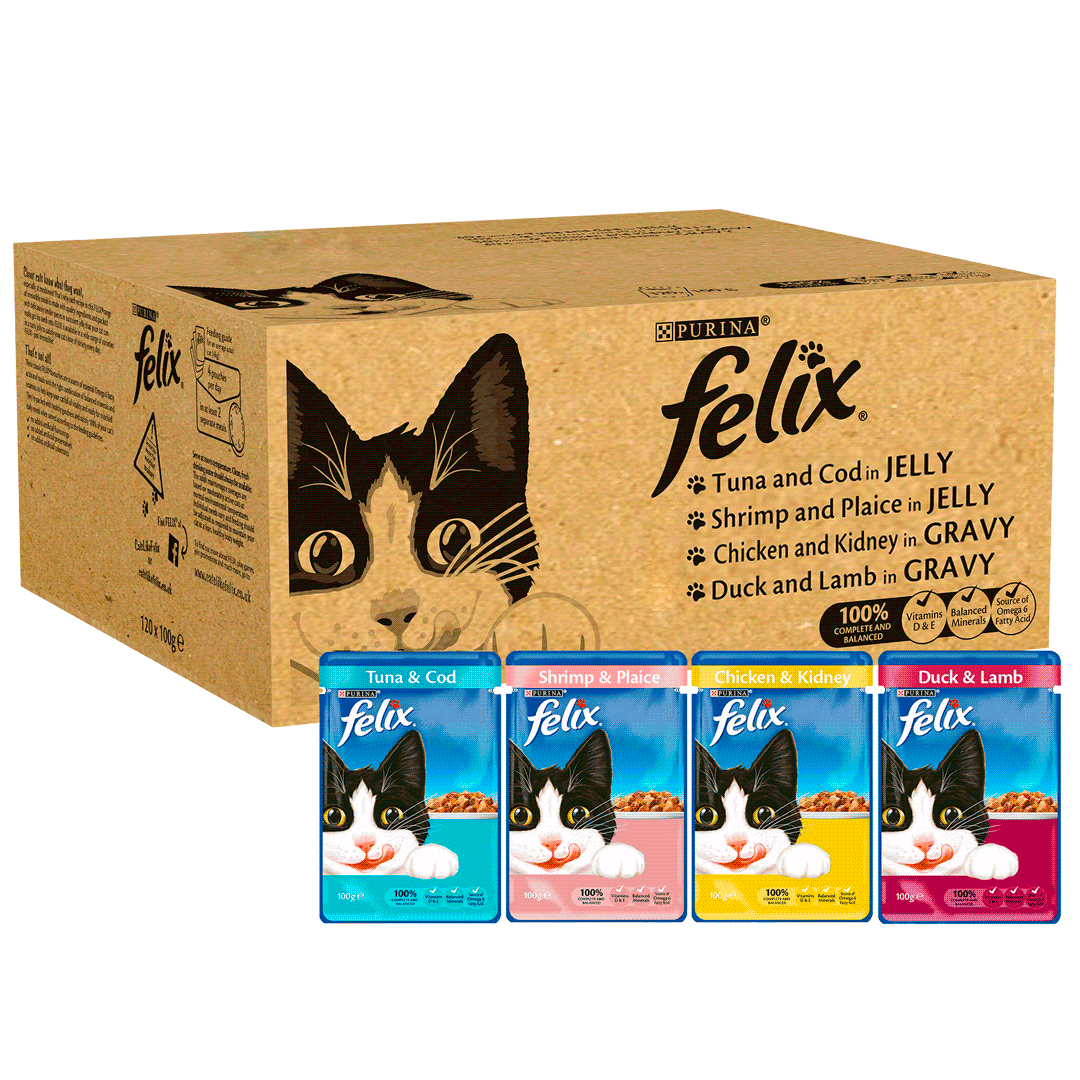 FELIX® Mixed Gravy & Jelly Wet Cat Food Purina