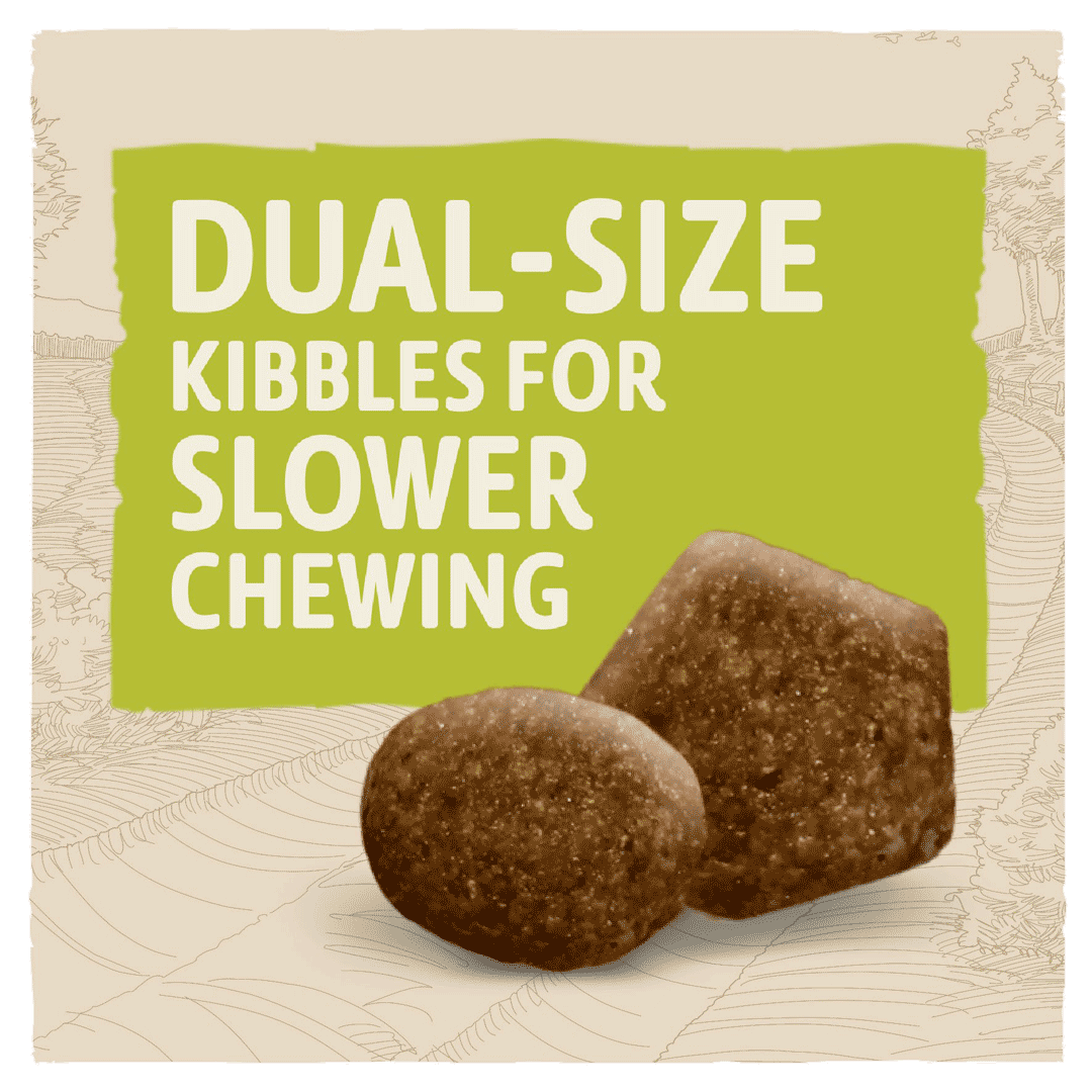 Beta small breed dog on sale food