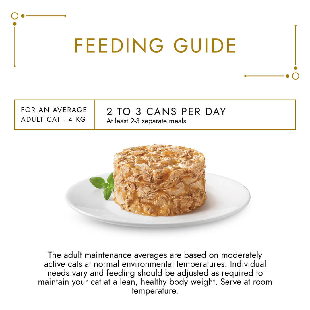 Judgement gold tuna cat food clearance
