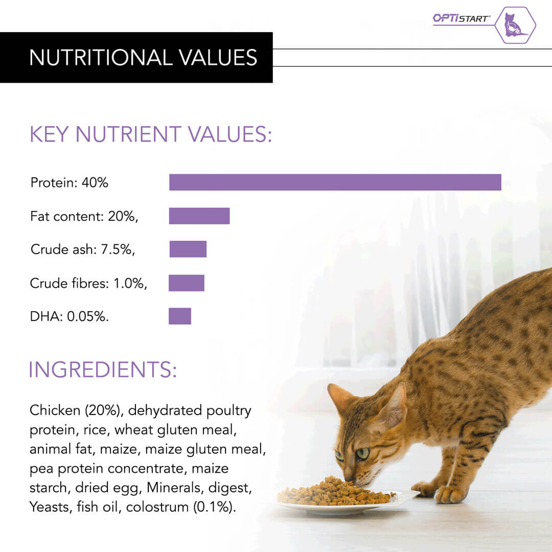 purina pro plan kitten wet food calories Deena Greenfield