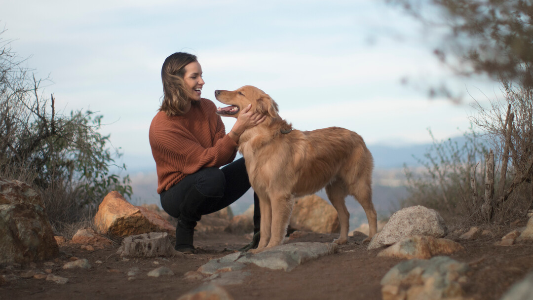 Golden retriever with owner on mountain trail.