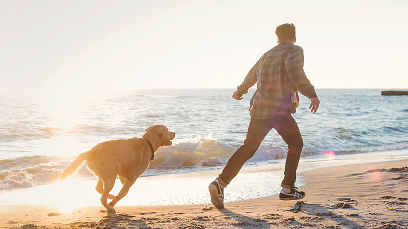 Man and dog running on the beach