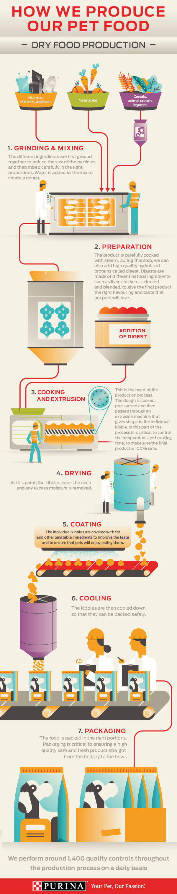 Dry food infographic