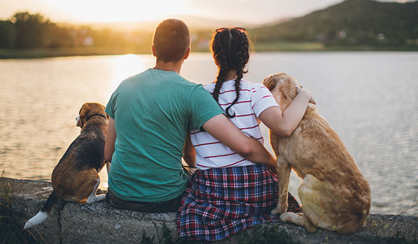 Couple with two dogs