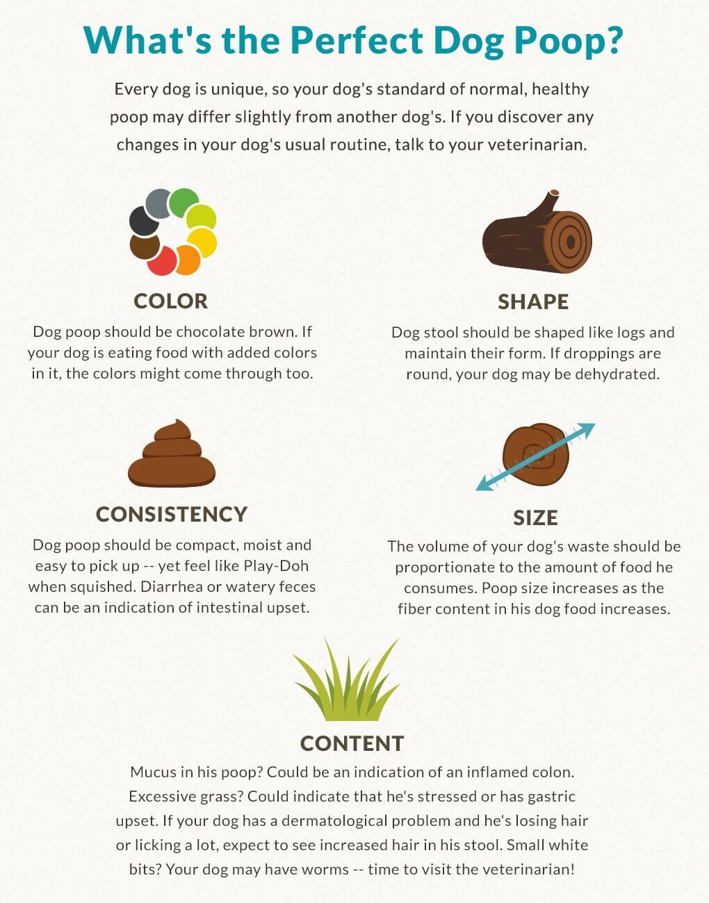 plastic in dog poop