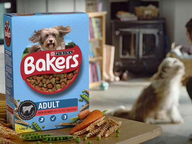 Bakers dog