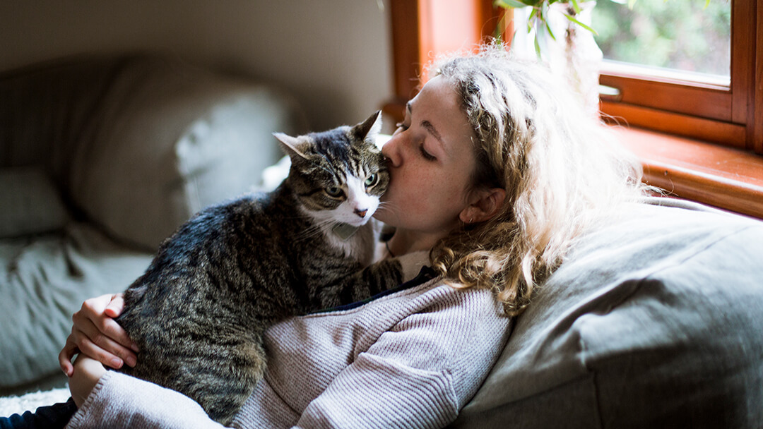 Meet 8 Of The Fluffiest Cat Breeds On Earth 