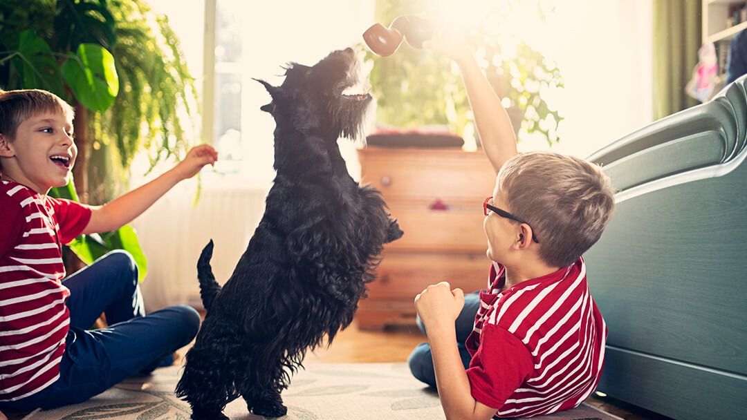 Paying is State of Being. Little Child Play with Toy Dog Outdoors