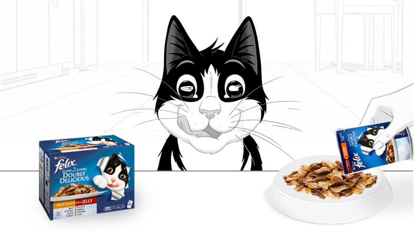 Felix As Good As It Looks