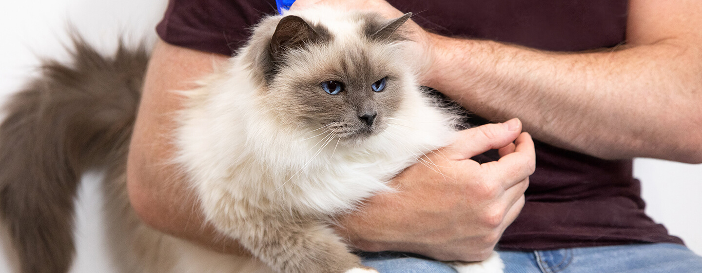 Man holding cat in his arms