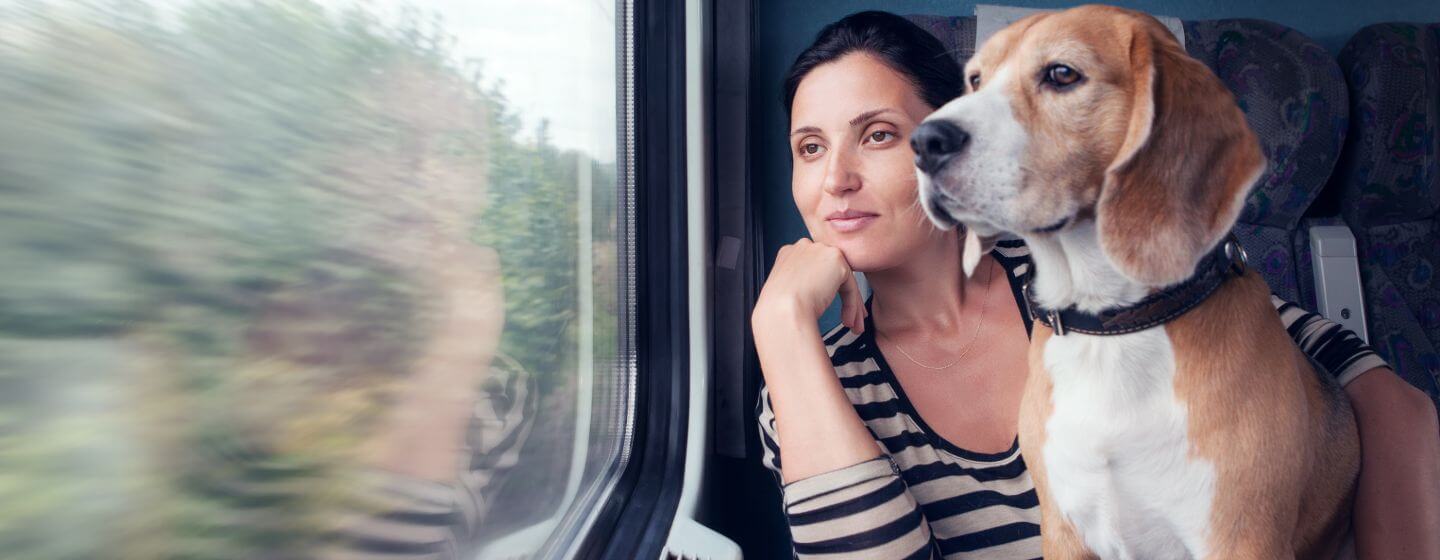 woman and beagle looking out a train window