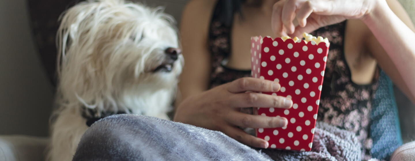 dog and owner eating popcorn