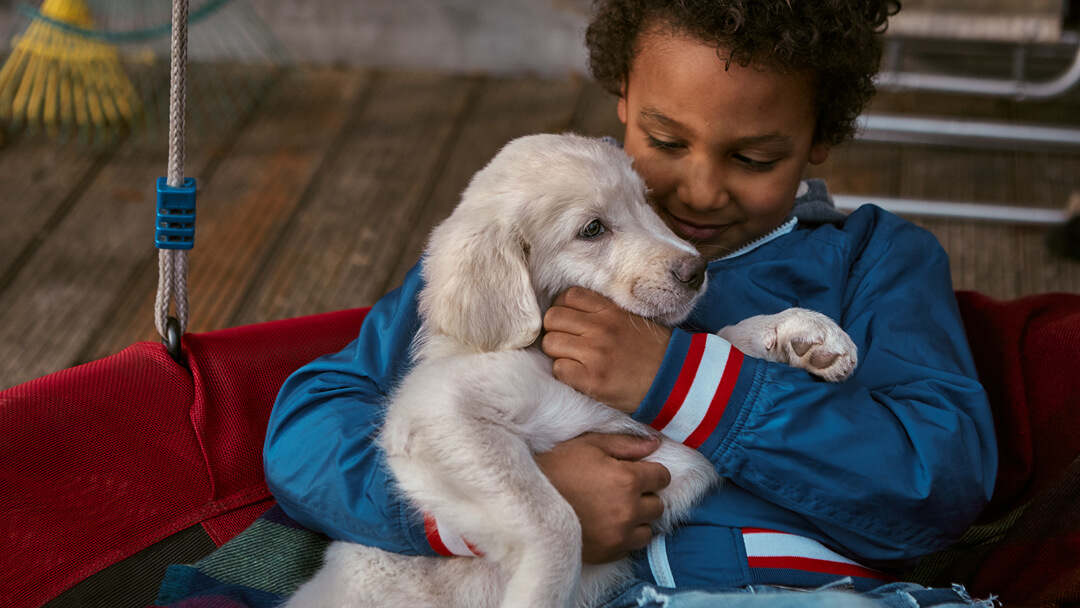 Easy Guide to Introducing Puppies and Children | Purina