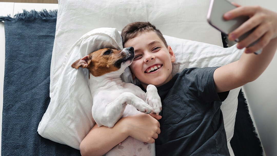 passpel photo dog 