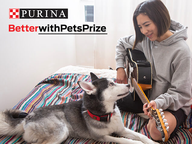 Better with pets prize woman sat with dog