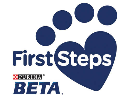 Beta First Steps