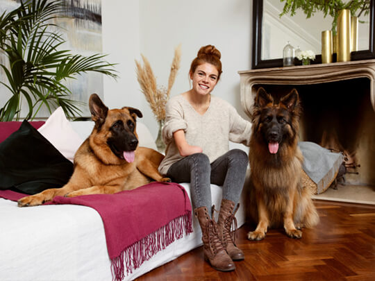 Woman sitting on a sofa between her two german shepherds.
