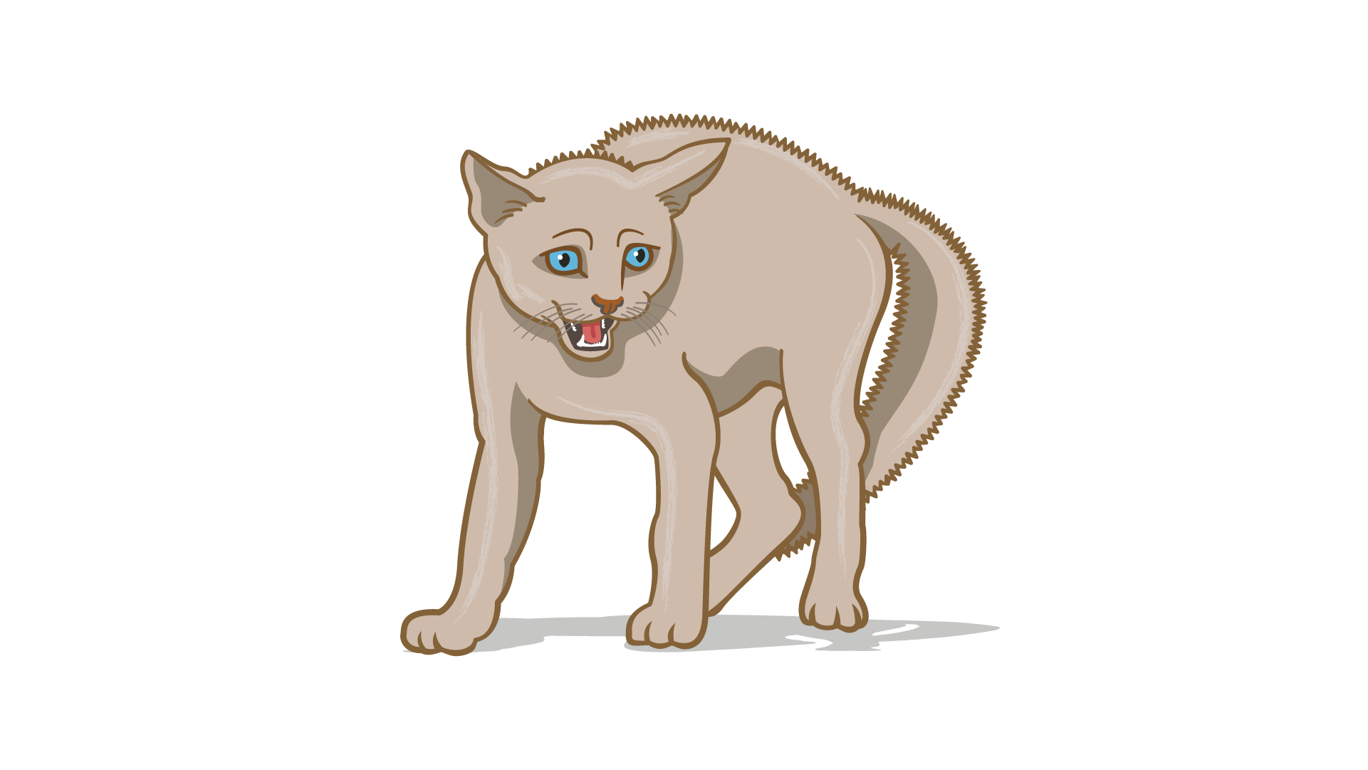 fearful cat body language