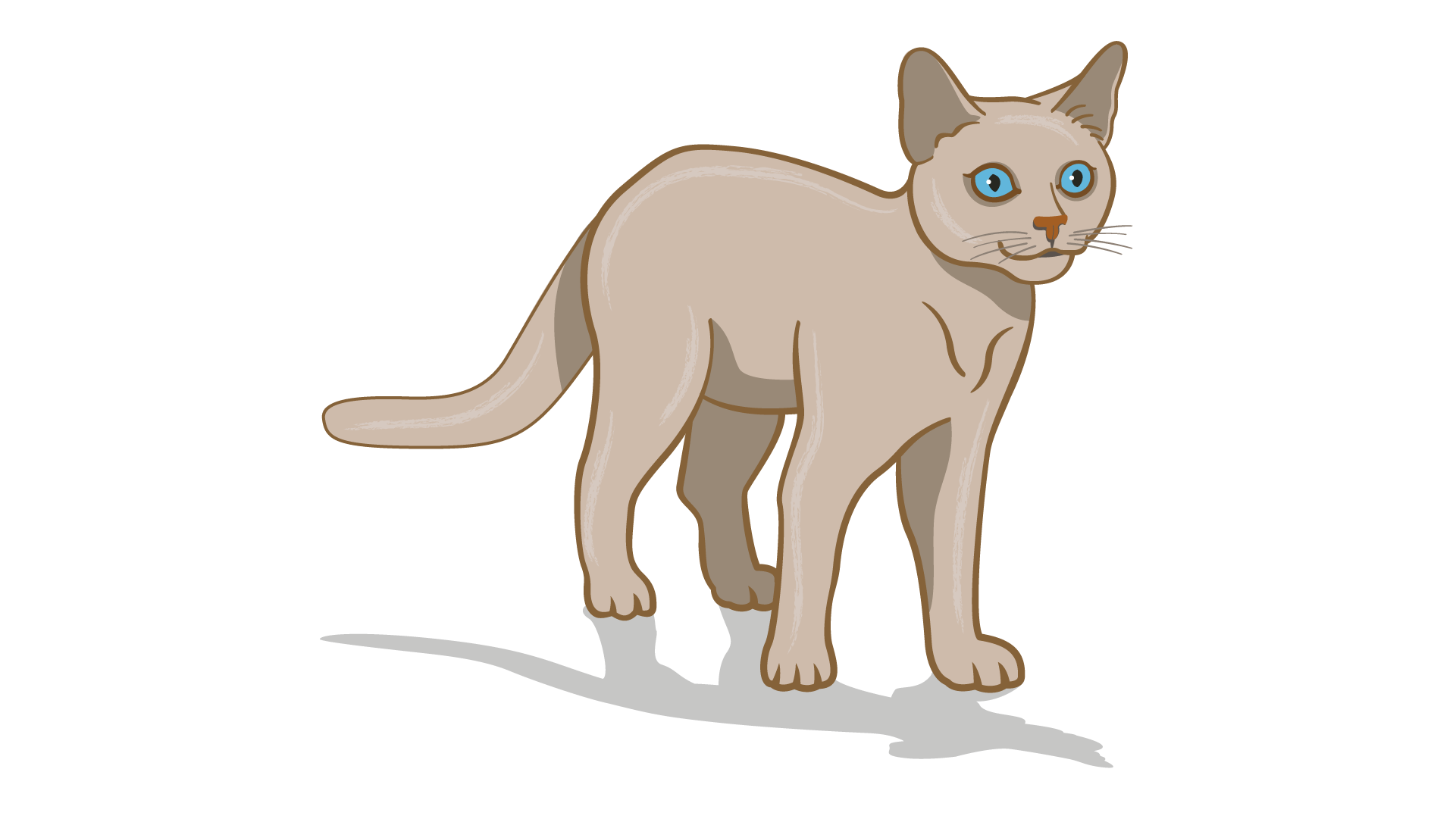 photo Cat Moving Head Side To Side understanding cat body language