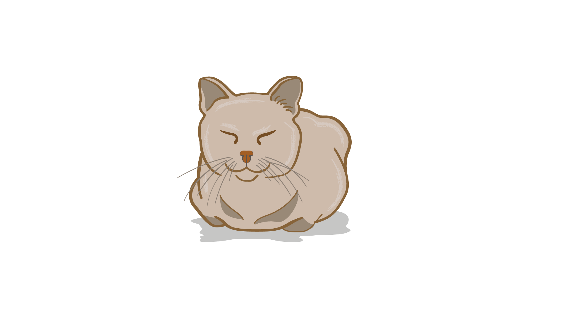 happy cat body language