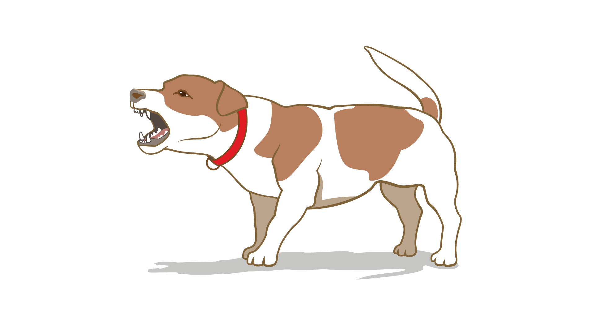 angry dog body language